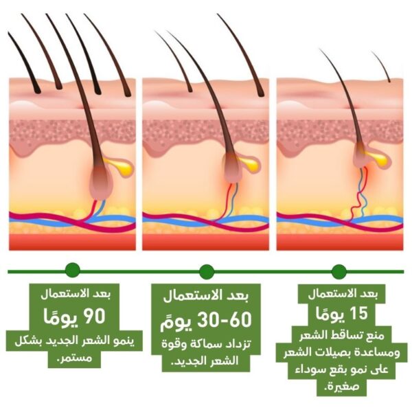 زيت اكليل الجبل - لعلاج كل مشاكل الشعر - Image 2
